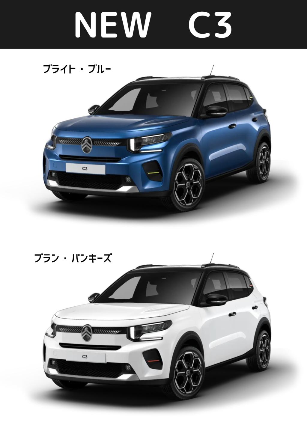 NEW C3ボディカラーのご紹介＆11月の定休日のお知らせ