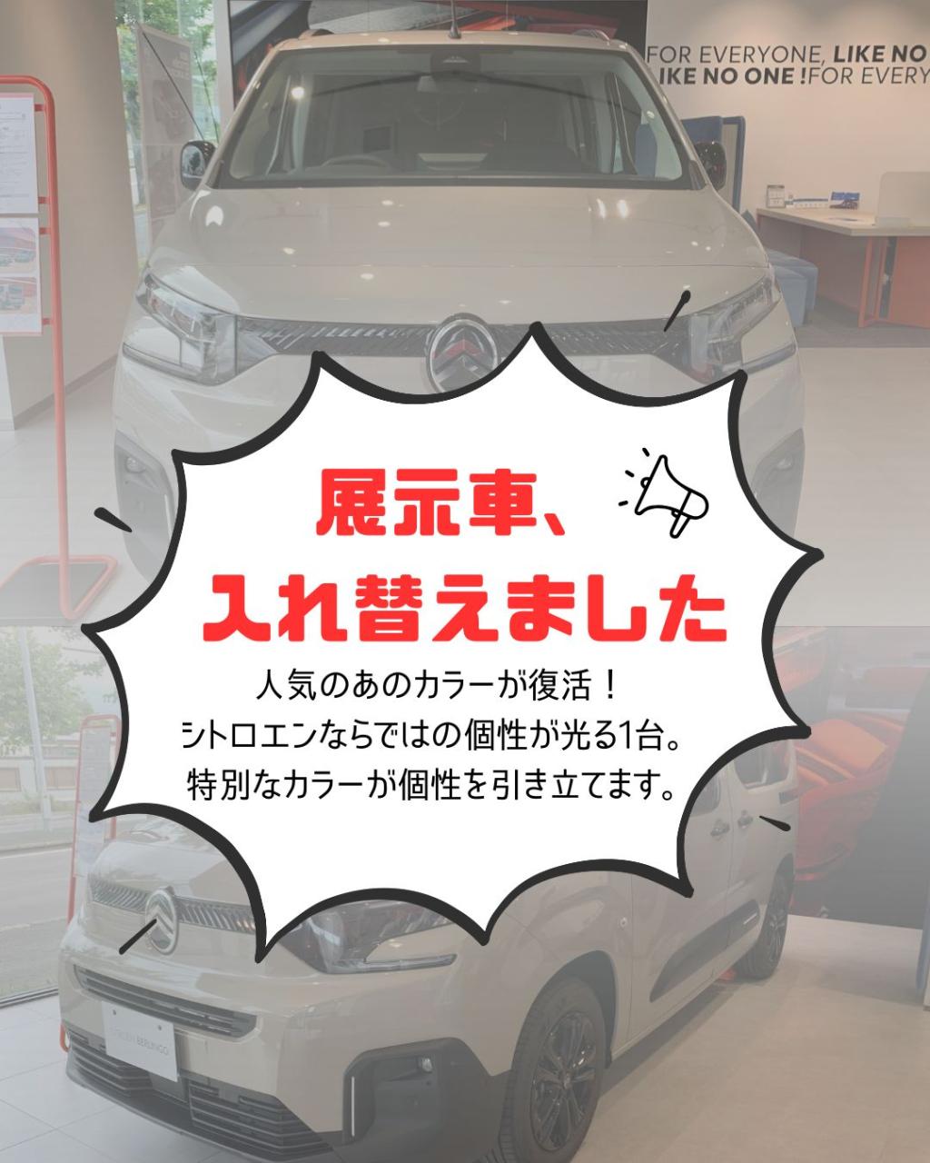 待望の人気色が復活！新しい展示車をご紹介します！